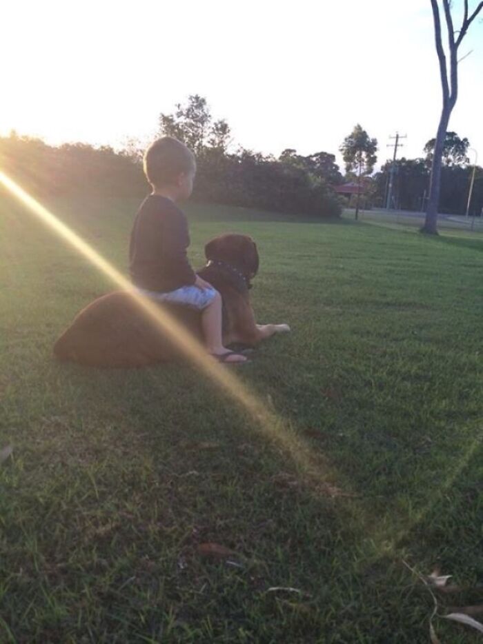 Found My Nephew Watching The Sunset With His Best Friend
