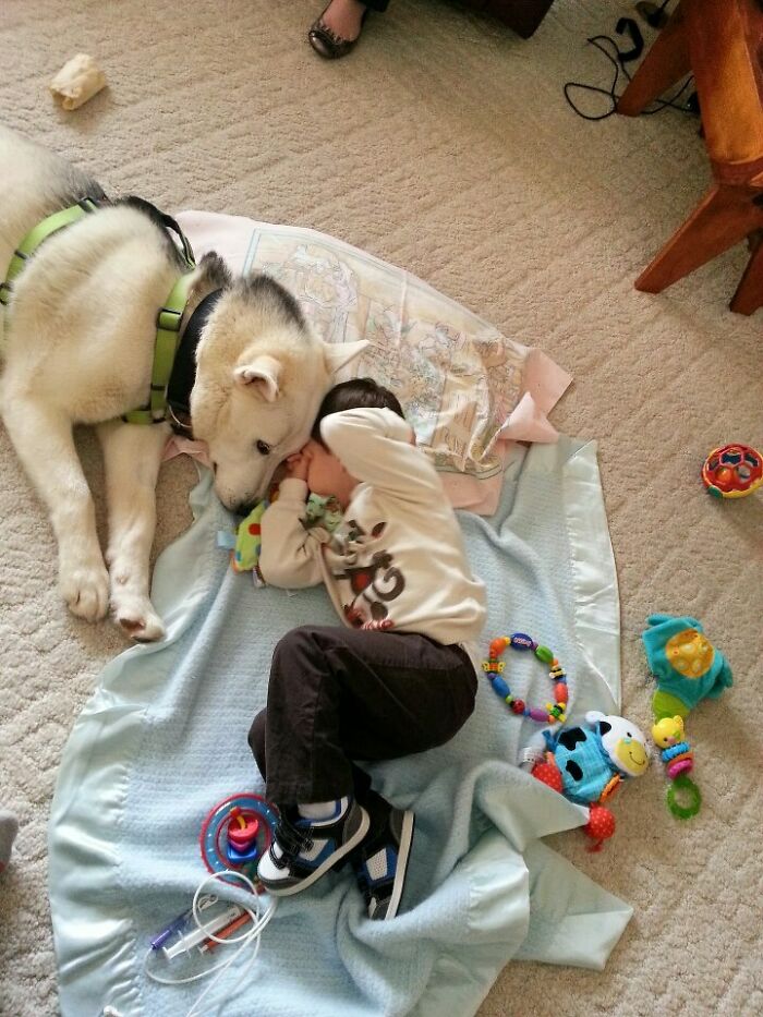 A One-Year-Old Husky Cuddling With My Disabled Nephew