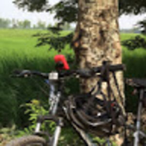 horvathattila avatar