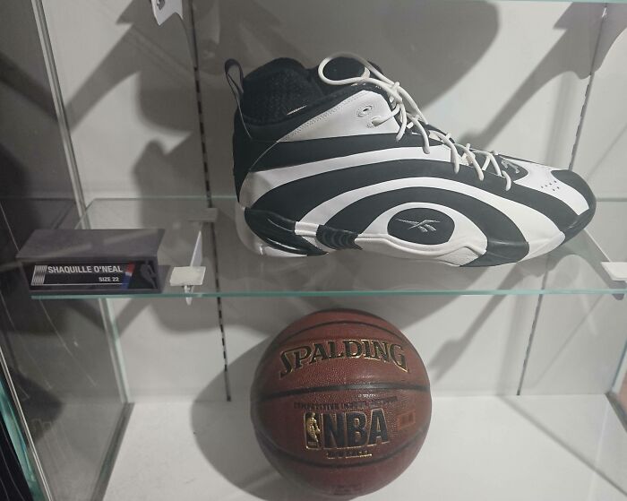 Shaq's Size 22 Shoes (Basketball For Scale)