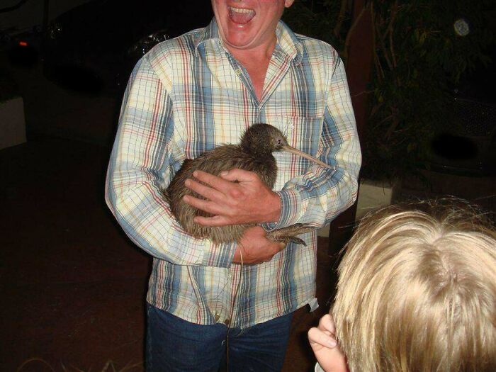 For Anyone Wondering What The Actual Size Of A Kiwi Is, Here It Is Compared To A Human Size