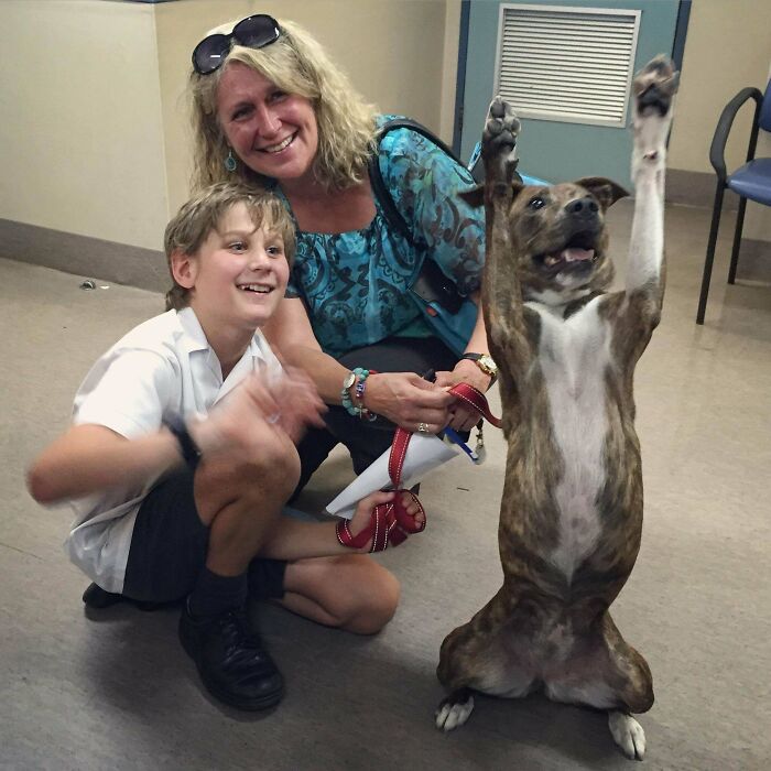 Este perro de refugio está muy entusiasmado con su adopción