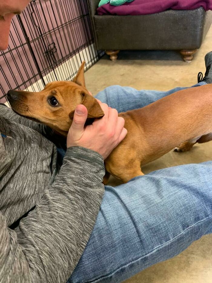 My Fiance Caught The Exact Moment When Rusty And I Fell For Each Other. We Had To Adopt Him Right Away