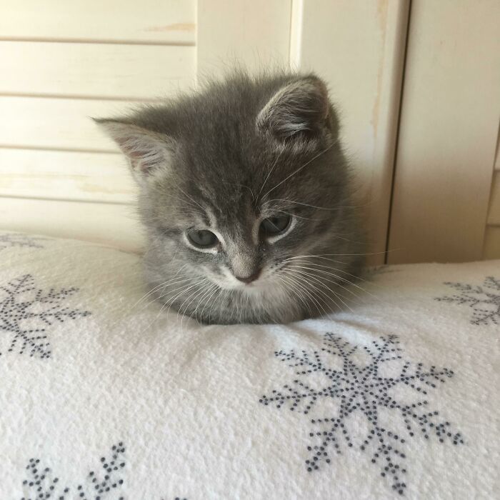 Zola When She Was A Baby, Being A Little Loaf
