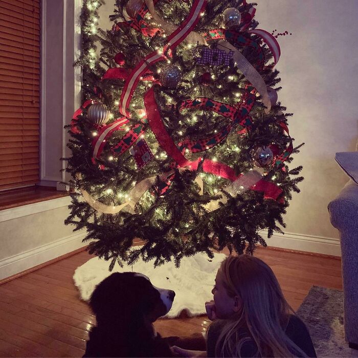 Mi novia decorando el árbol junto a nuestro perro