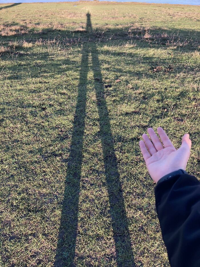 The Ridiculous Length Of My Shadow, Hand For Scale