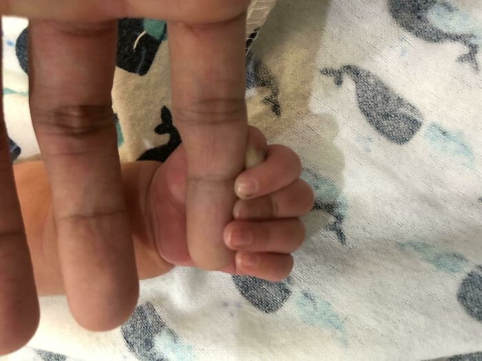 Meet My 9-Days Old Nephew! I'm Too Excited! His Hand Is So Tiny Compared To A Grown Up's Hand
