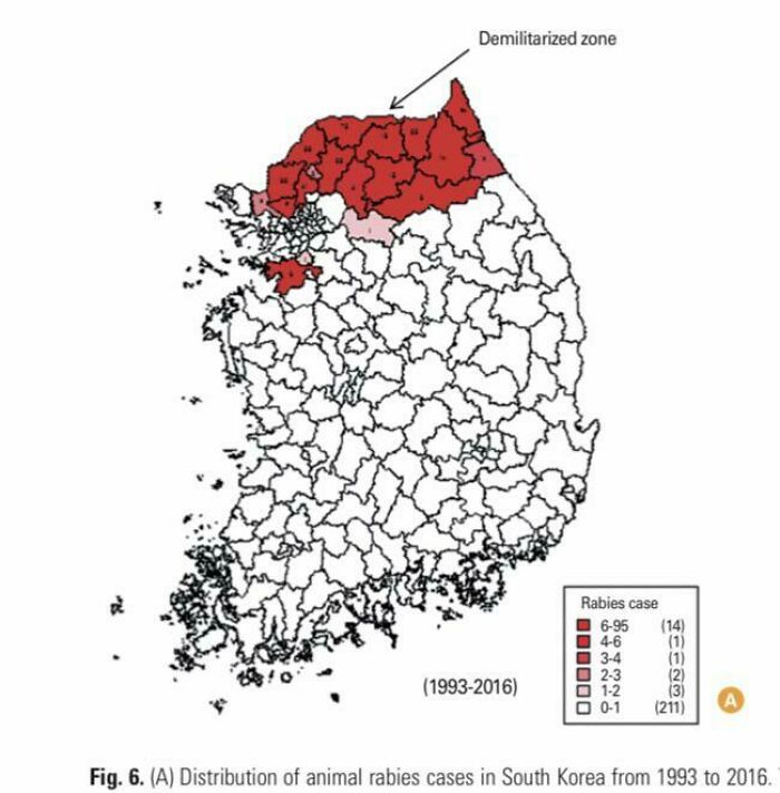 South Korea Is One Of The Few Developed Countries That Still Reports Rabies Cases (Albeit Extremely Low Numbers—no Human Infection Since 2004 And No Animal Infection Since 2014). Officials Blame Unvaccinated Animals From North Korea Crossing Into The South Through The Porous Dmz