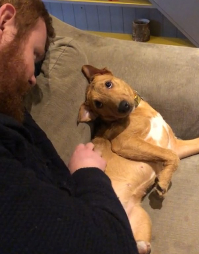 How Our Rescue Pup Looks At My Husband
