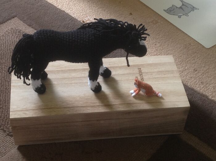I Wish I Could Show You But My Mother Got Rid Of Them. I Haven’t Been The Same Since! So Enjoy The Pic Of A Crocheted Pony And Tiny Cat.