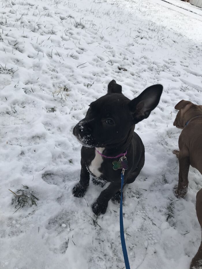 I Told Her To Stop Eating Snow
