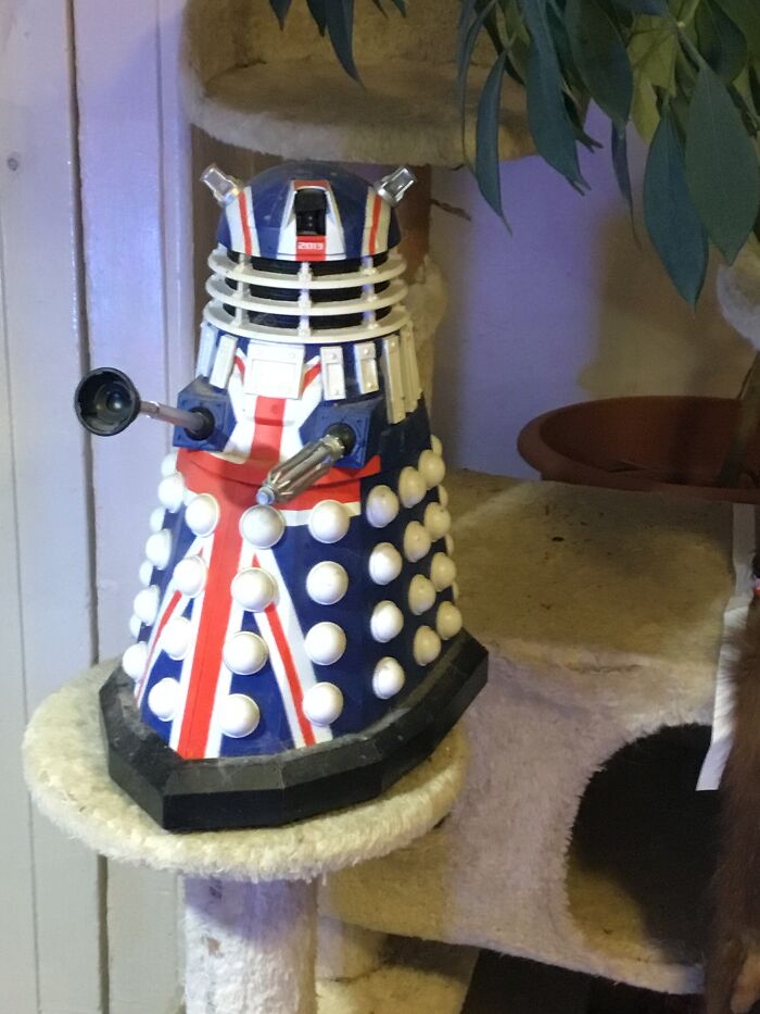 My Poor Unloved, Disabled Dalek. One Of The Cat Tribe Ran Off With It’s Eye Stalk And I Can’t Find It