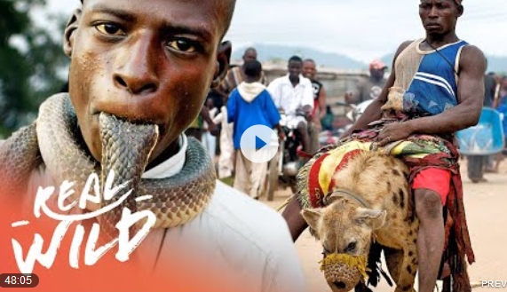 Animal-Gangs-of-Nigeria-5ffc5caa9dde2.jpg