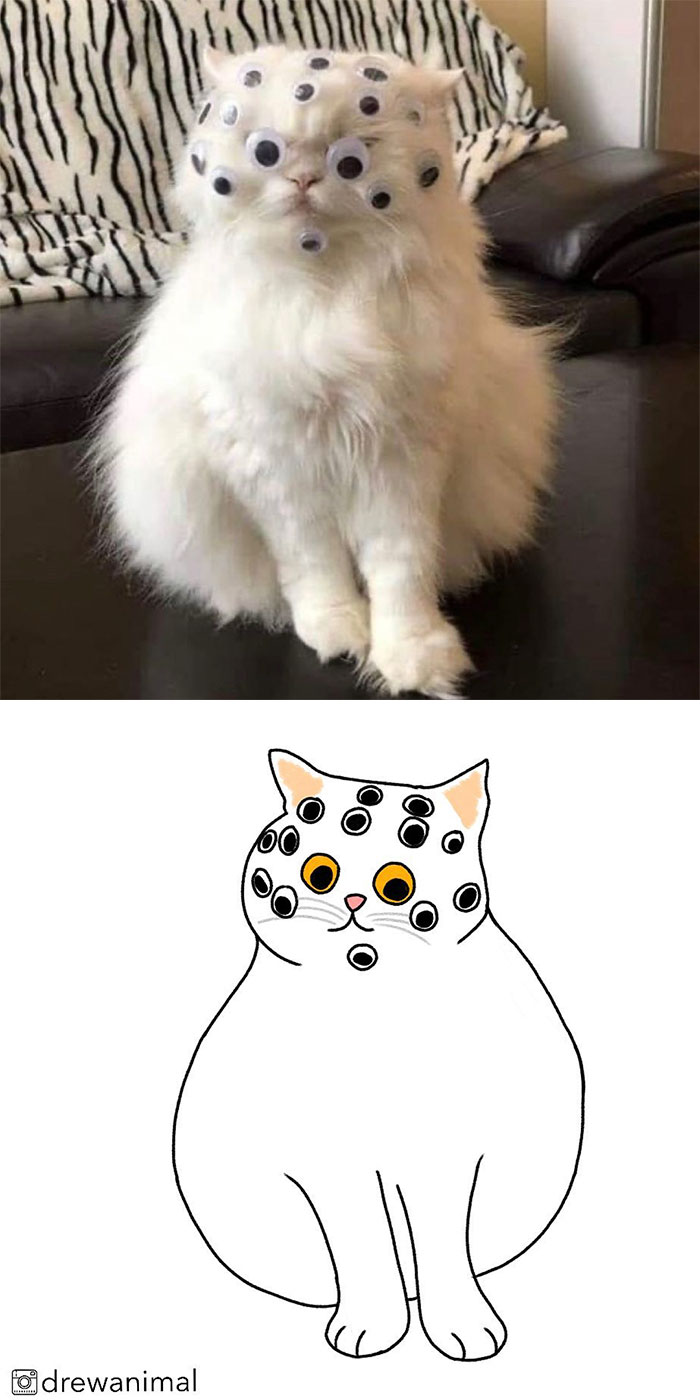 Artist Turns Classic Cat Memes Into Minimalist Illustrations