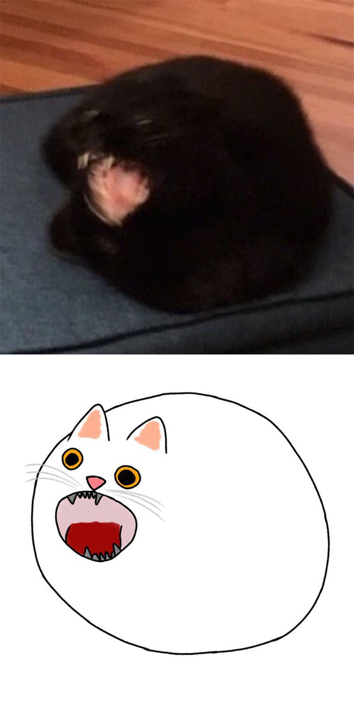 Artist Turns Classic Cat Memes Into Minimalist Illustrations