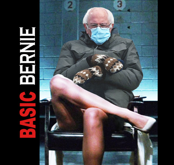 Basic Bernie