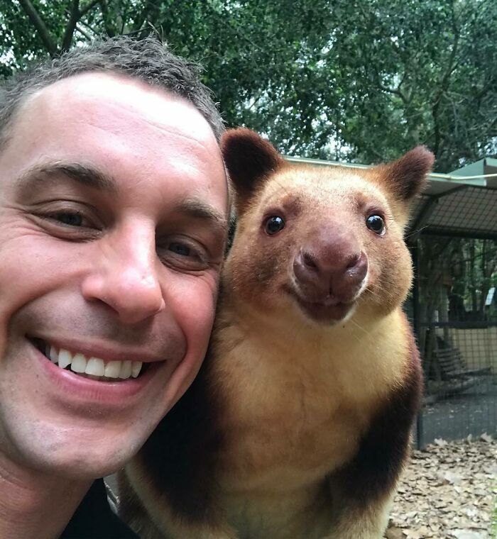 Australian Zookeeper Shares The Behind-The-Scenes Of Running A Wildlife Park (21 Pics)