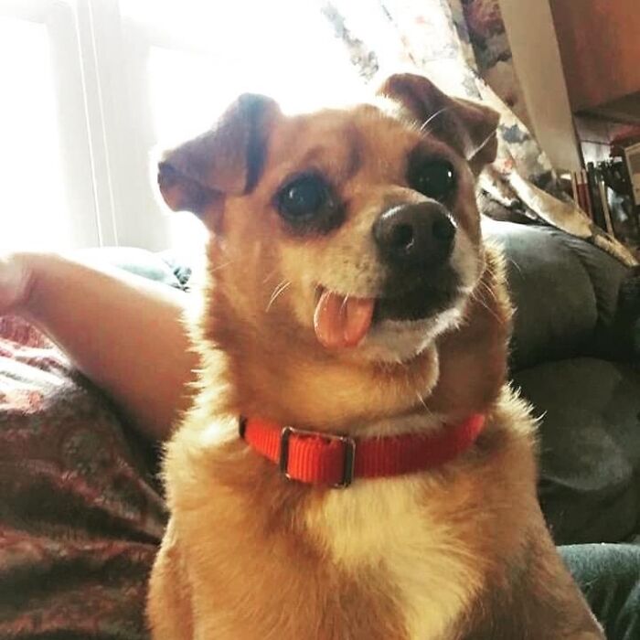 Miller Only Sticks His Tongue Out Like This When He’s Extremely Happy.
