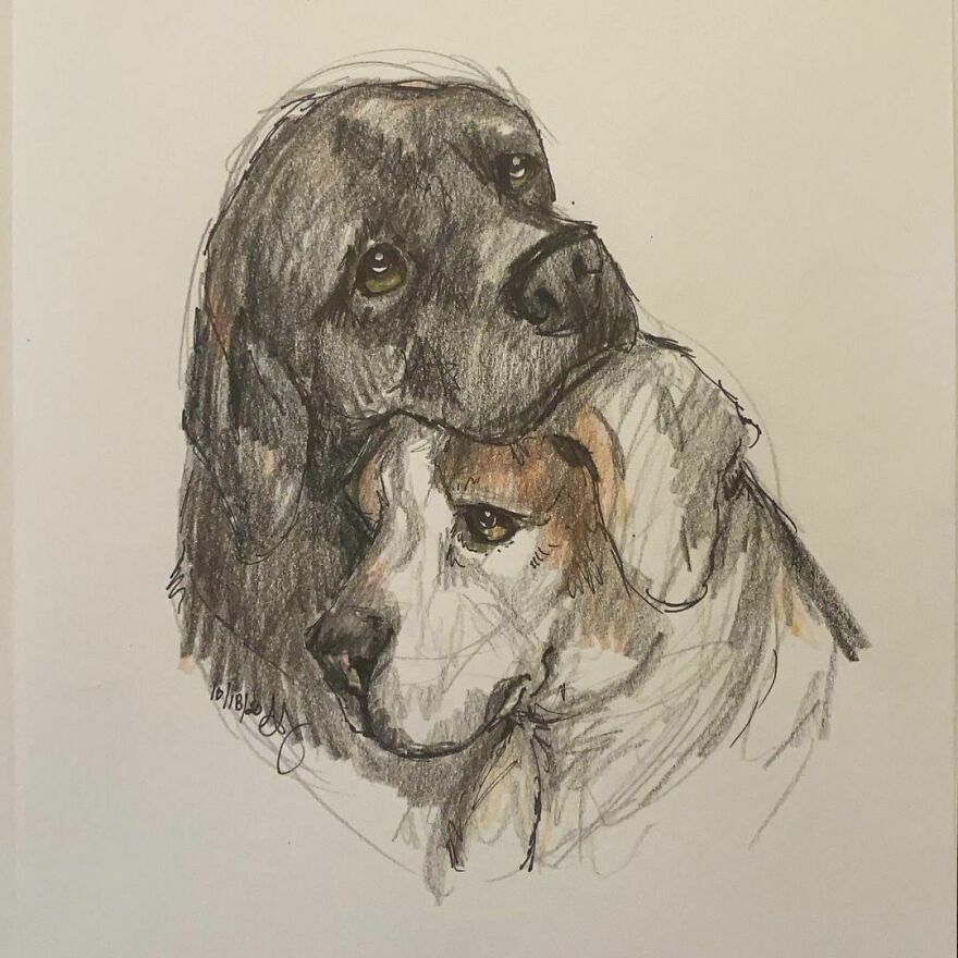 Pet Portraits For Charity