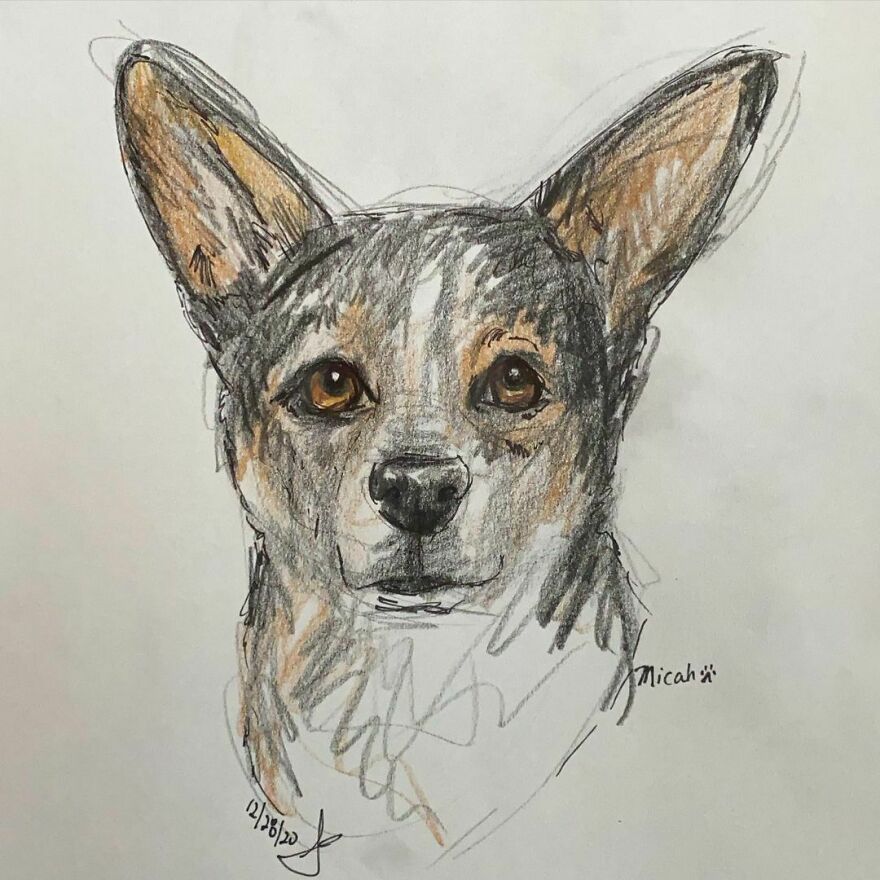 Pet Portraits For Charity