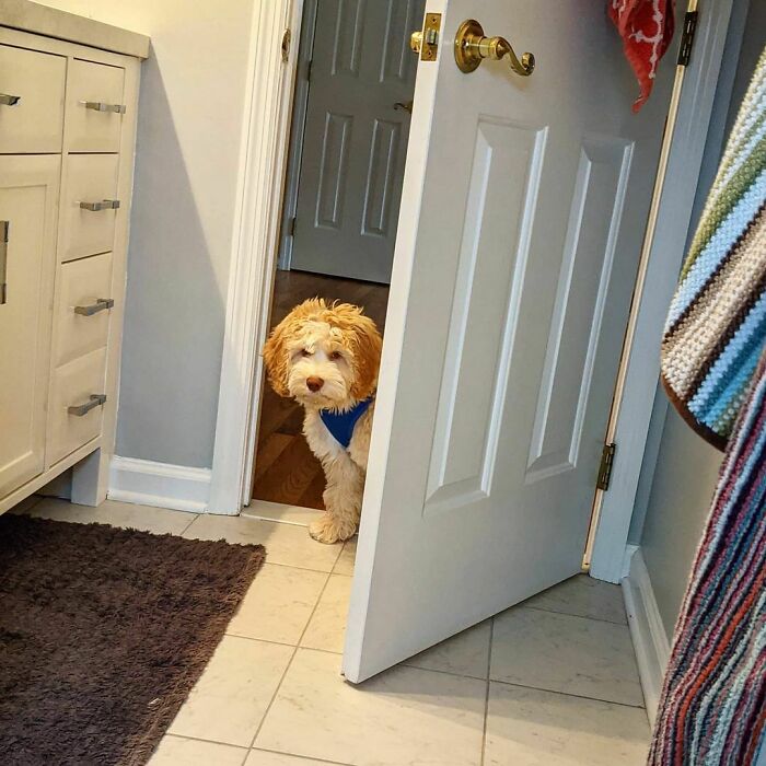 Can I Come?