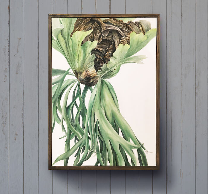 Staghorn Fern Watercolor Painting