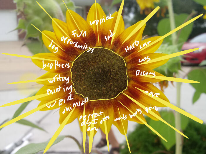 My Sunflower Of Life