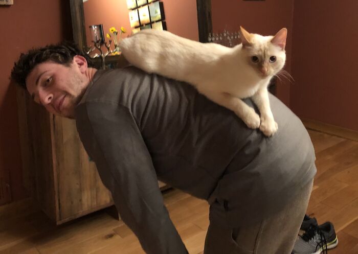 In Our House, If You Bend Down To Get Something On Floor Or Tie Your Shoe, You May End Up With A Super Relaxed Kitty Named Lou On Your Back (W My Son Home From College)