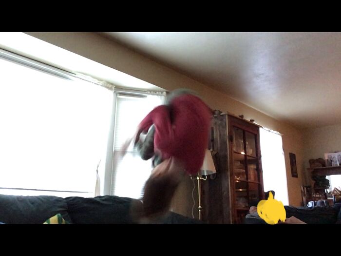 Front Flip (Sorry If It’s Blurry)