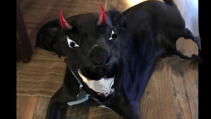 Demon Dogo