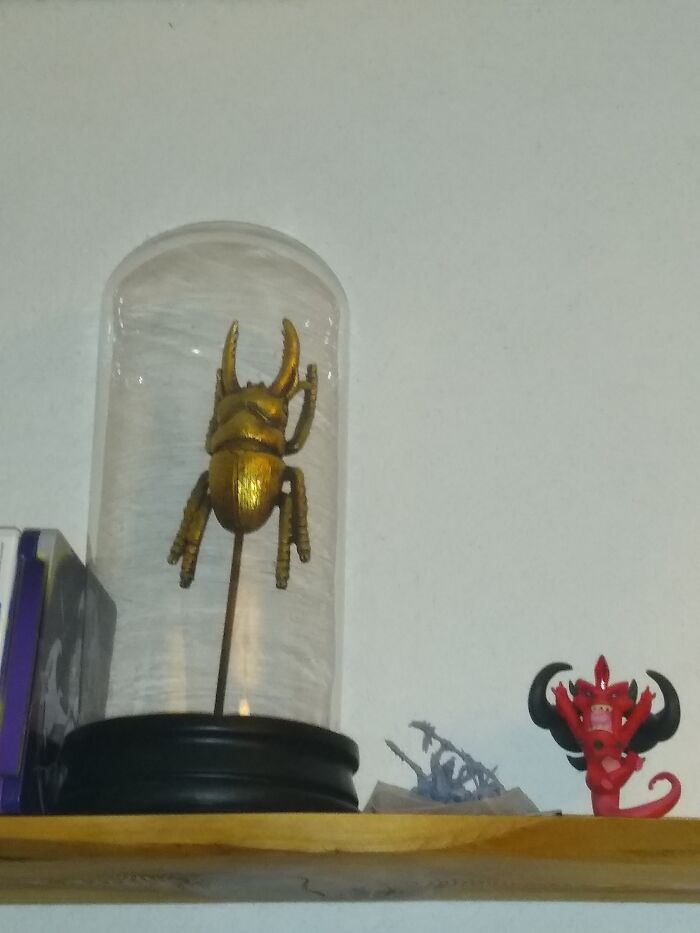 This Derpy Golden Bug Was Given To Me By My Russian Neighbor Last Christmas
