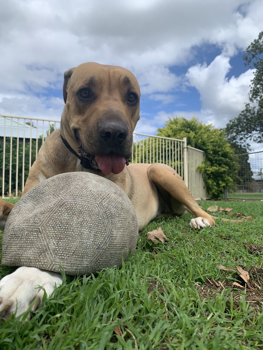 Miss Indi Girl