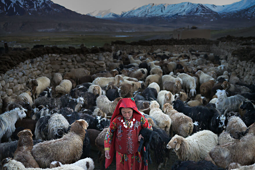 My Red Pamir My Red Pamir