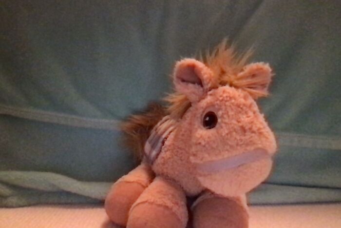 This Is My Stuffed Horse From When I Was Younger!