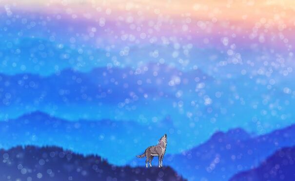 Wolf In Winter Sky