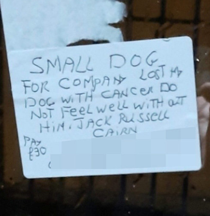 Delivery Driver Is Heartbroken By A Note From His Grieving Customer Looking For A Doggy Companion