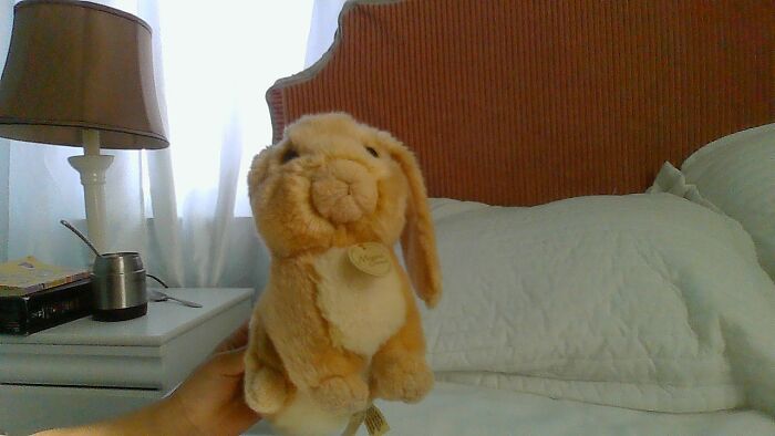 I Have Had Bunny For 8 Years Witch Is My Entire Life :}