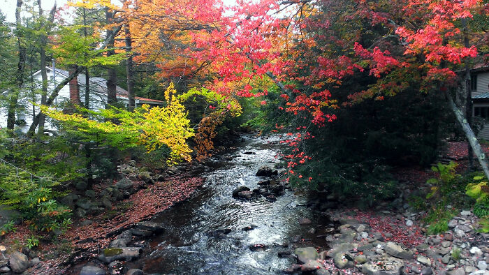 Mud Run Creek In The Autumn - Pocono Mountains Of Pennsylvania