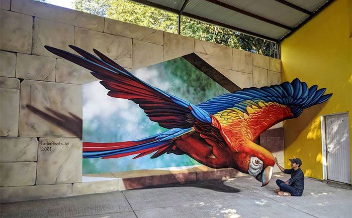 54 3D Optical Illusions By This Talented Mexican Street Artist