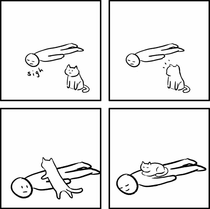 30 Comics That Show What Living With A Cat Is Really Like, By Xibang