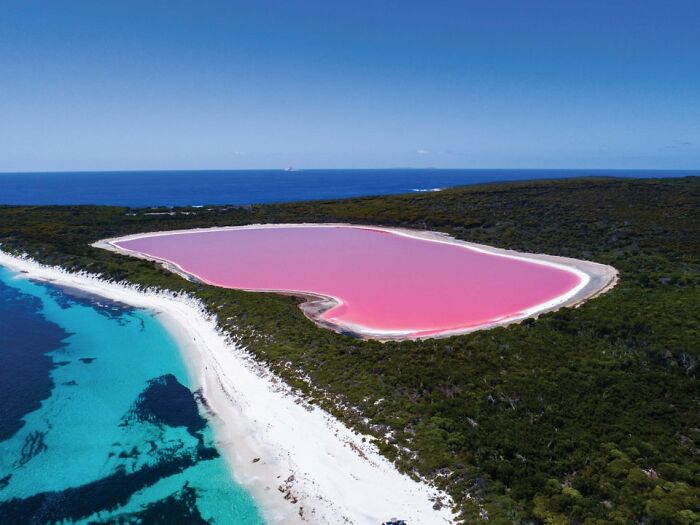 Lago Spencer en Australia, color rosa natural