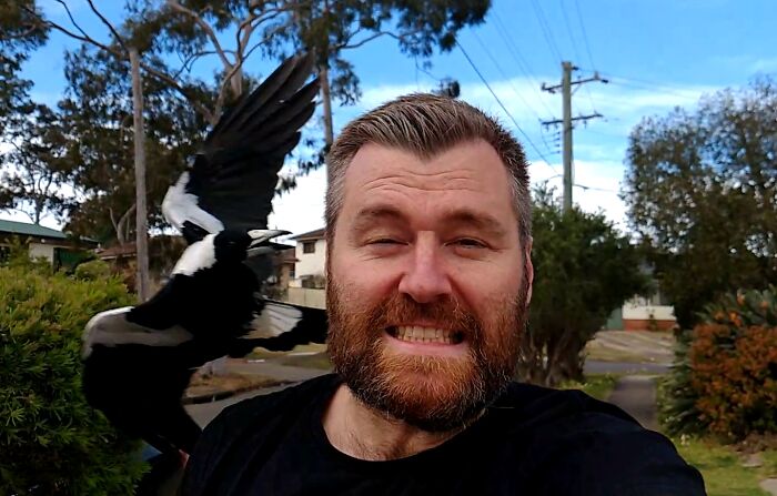 My Mate Named Him Swoop Dogg - What's Your Best Name For An Angry Magpie?