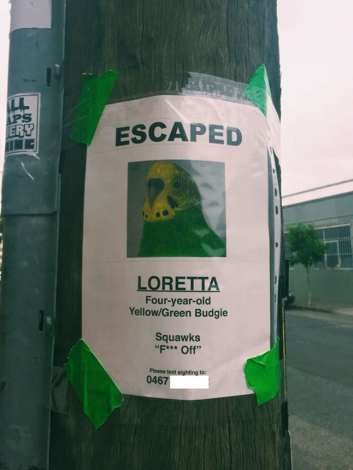 Don't Expect Thanks From Loretta If You Find Her