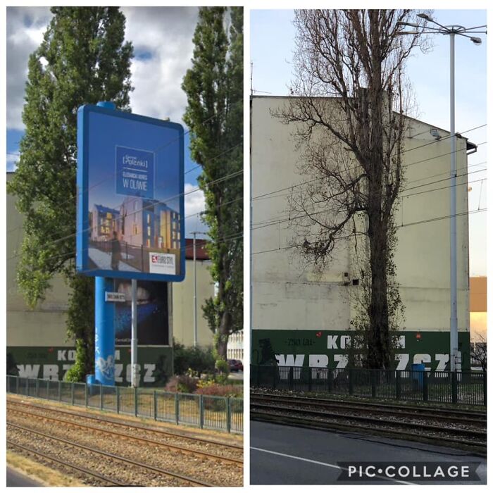 Before-After-Removing-Ads