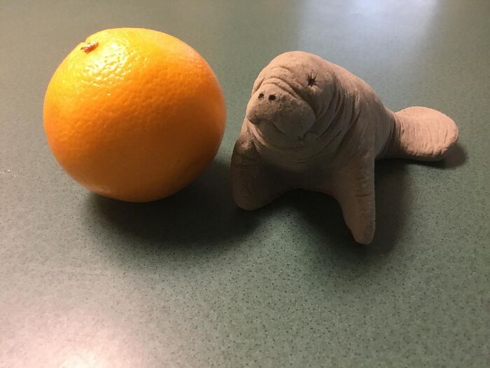 So This Is For All You Folks With Your House Hippos....i Live In Florida And Decided That I Would Like To Have A House Manatee Instead. Isn’t It Adorable? That Is A Navel Orange So You Can See The Size Because I Do Not Have A Banana Lying Around. I Found My Manatee In A Thrift Store In Tampa And He Just Looked Like He Needed A Home And Some Love.....mine Now!