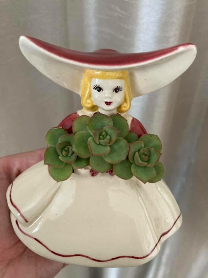 Finally Put Something In This Planter I Scored Last Month At A Thrift Shop In El Cajon, Ca. How Fabulous Is She?!