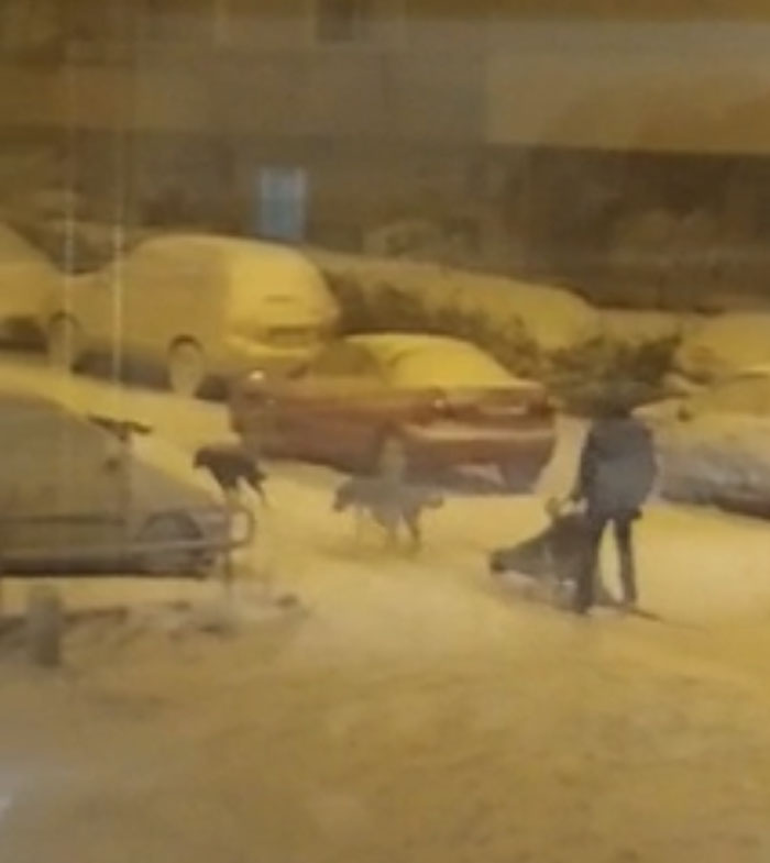 It Has Been Snowing Like Crazy In Spain And Then Theres This Guy