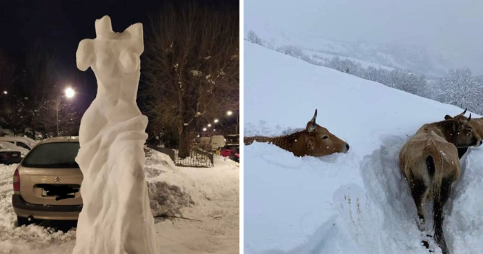 Spain Is Currently Witnessing Their Biggest Snowfall In Decades And This Is How The Unusual Sight Looks