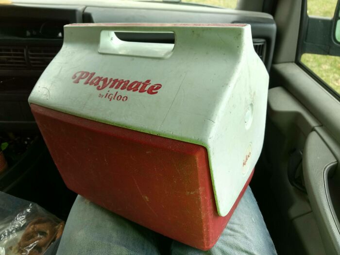 Originally Bought At A Yard Sale, This Playmate Igloo Has Been Taken To Work Every Day For Over 30 Years