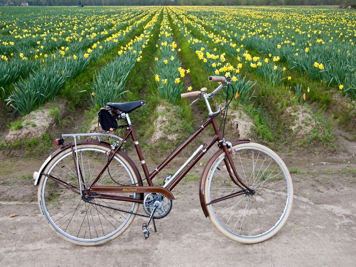 My 1969 Raleigh Sports Bicycle, Still Widely Available Used, Will Last Forever With Minimal Care. I Ride Mine Regularly And Have Owned It For Over Ten Years